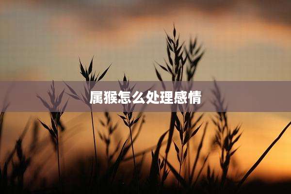 属猴怎么处理感情