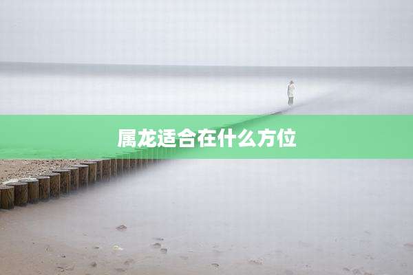属龙适合在什么方位