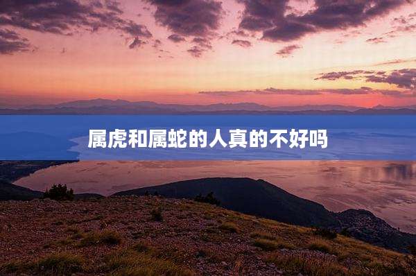 属虎和属蛇的人真的不好吗