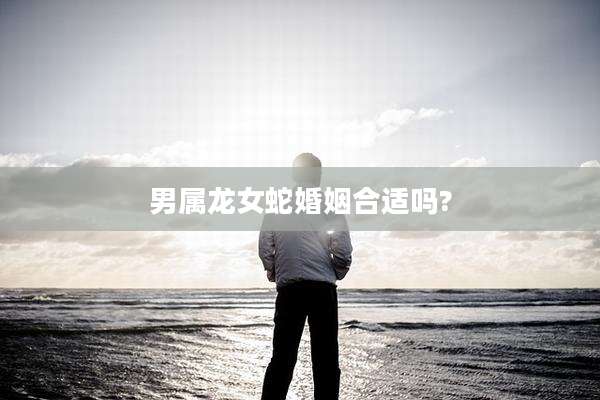 男属龙女蛇婚姻合适吗?