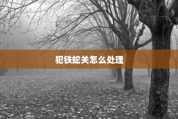 犯铁蛇关怎么处理