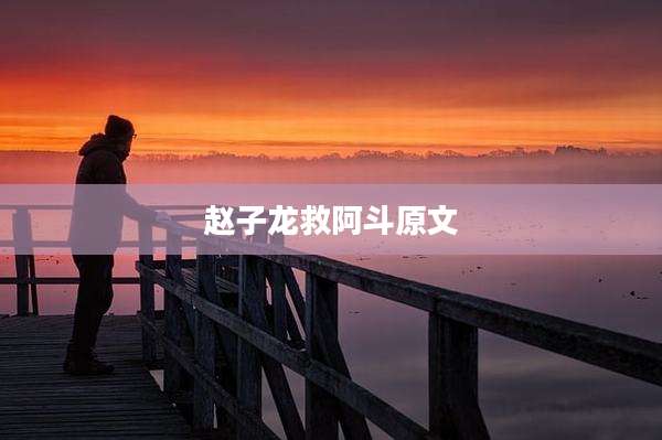 赵子龙救阿斗原文
