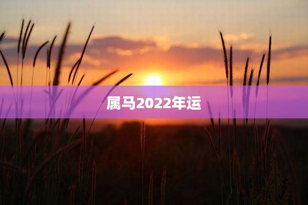 属马2022年运