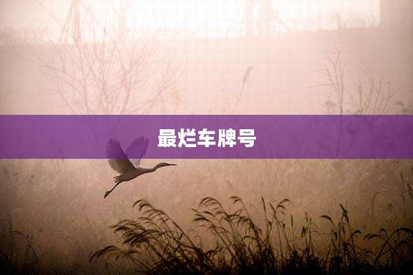 最烂车牌号