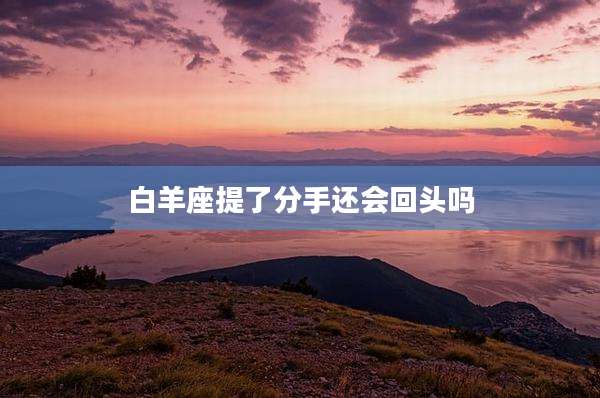 白羊座提了分手还会回头吗