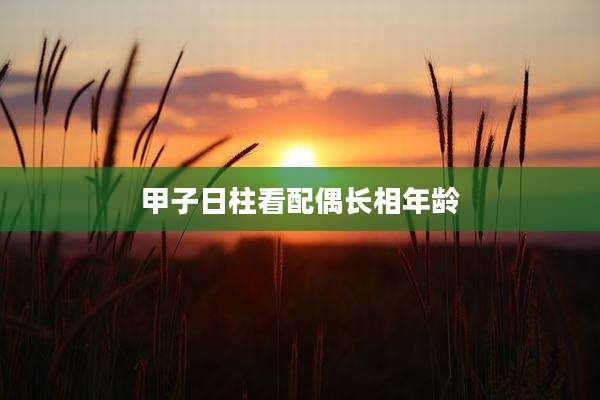 甲子日柱看配偶长相年龄