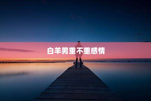 白羊男重不重感情