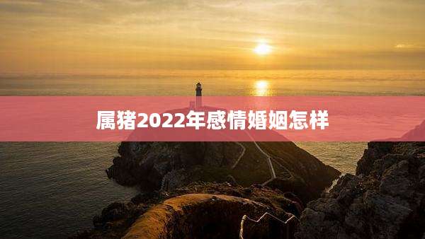 属猪2022年感情婚姻怎样