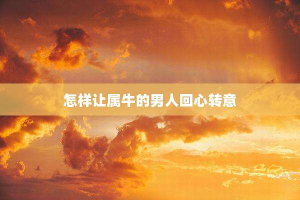 怎样让属牛的男人回心转意