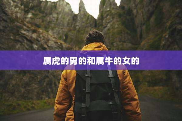 属虎的男的和属牛的女的