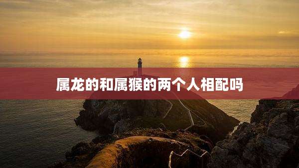 属龙的和属猴的两个人相配吗