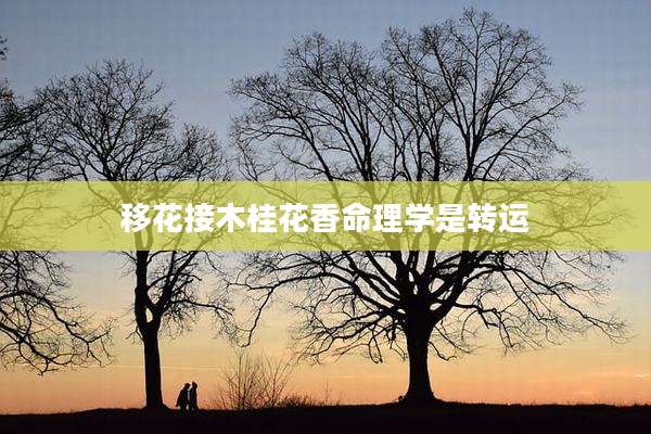 移花接木桂花香命理学是转运
