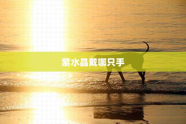 紫水晶戴哪只手