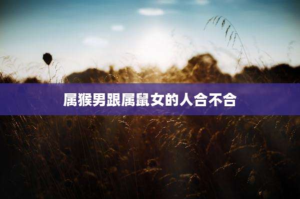 属猴男跟属鼠女的人合不合