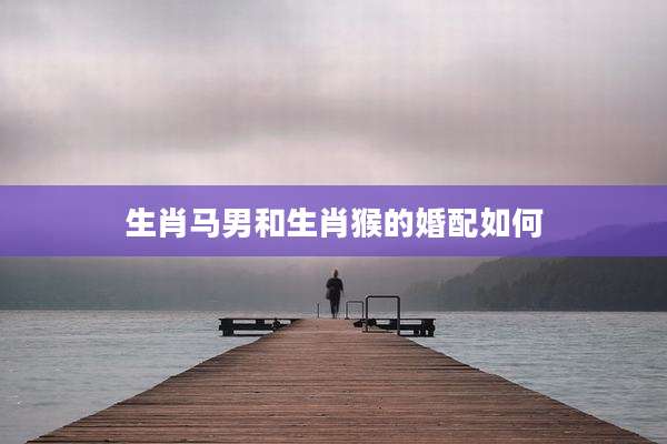 生肖马男和生肖猴的婚配如何