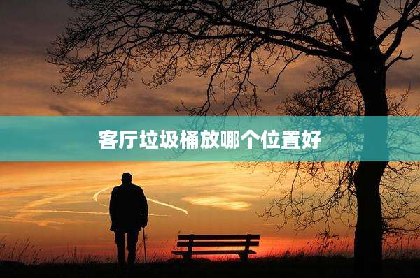 客厅垃圾桶放哪个位置好