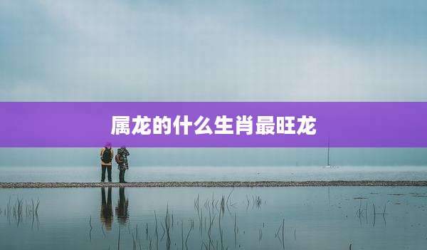 属龙的什么生肖最旺龙
