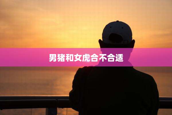 男猪和女虎合不合适