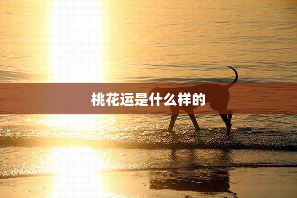 桃花运是什么样的