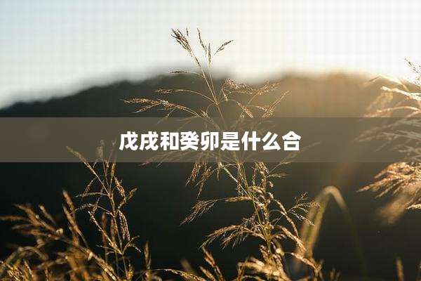 戊戌和癸卯是什么合