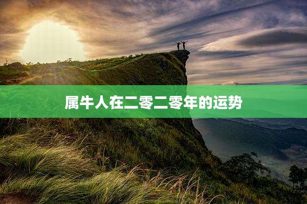 属牛人在二零二零年的运势