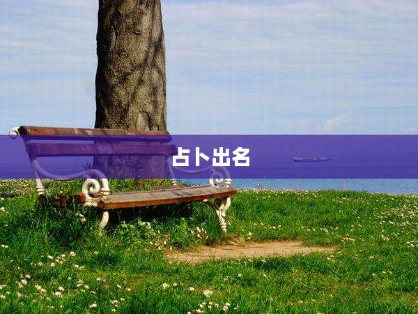 占卜出名