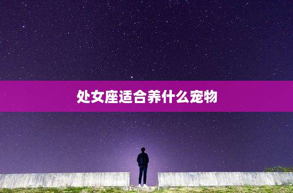 处女座适合养什么宠物