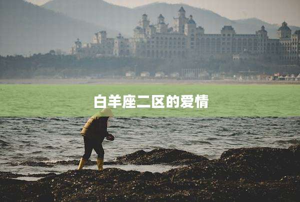 白羊座二区的爱情