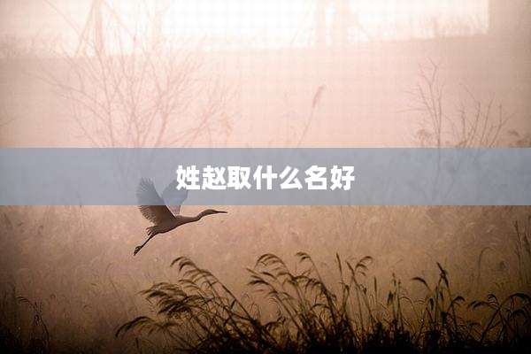 姓赵取什么名好
