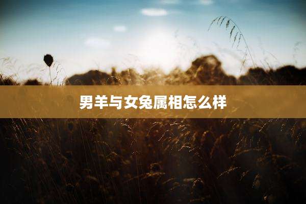 男羊与女兔属相怎么样