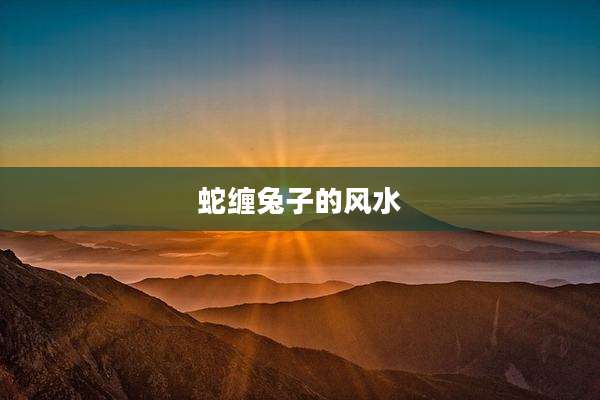 蛇缠兔子的风水