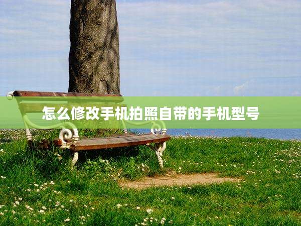 怎么修改手机拍照自带的手机型号