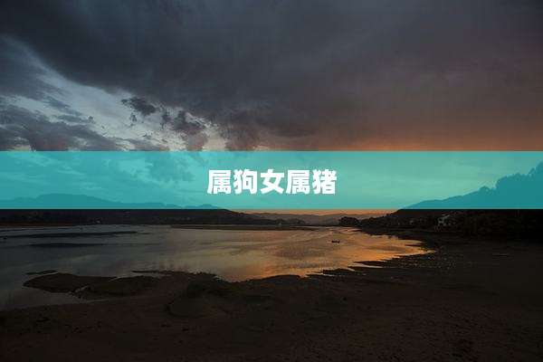 属狗女属猪