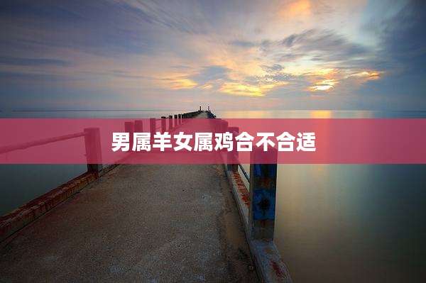 男属羊女属鸡合不合适
