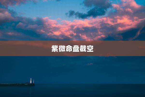 紫微命盘截空
