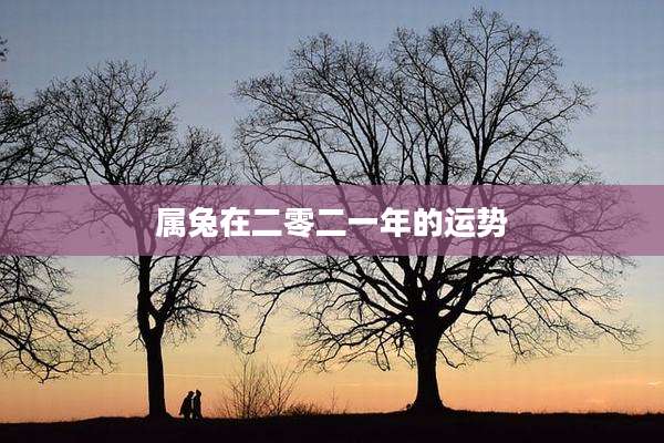 属兔在二零二一年的运势