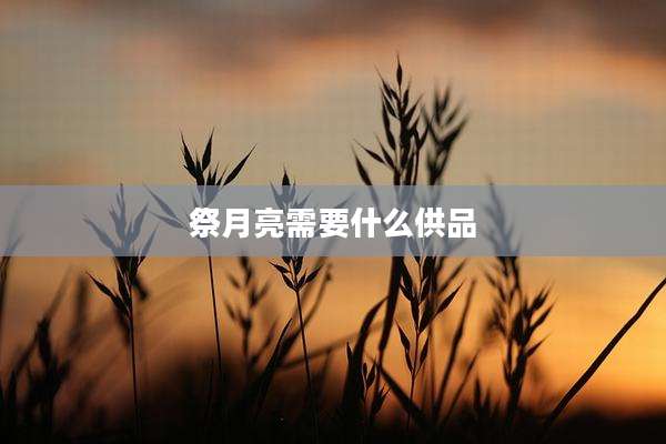 祭月亮需要什么供品