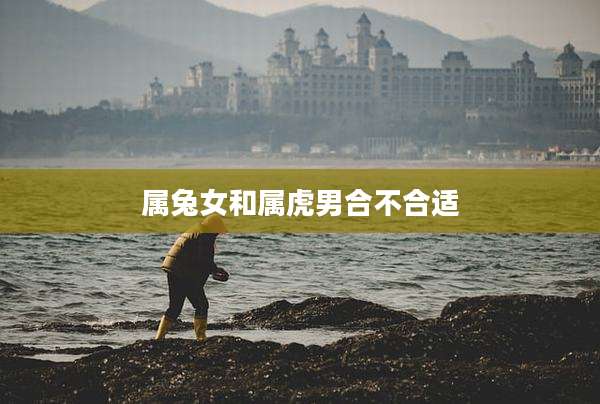 属兔女和属虎男合不合适