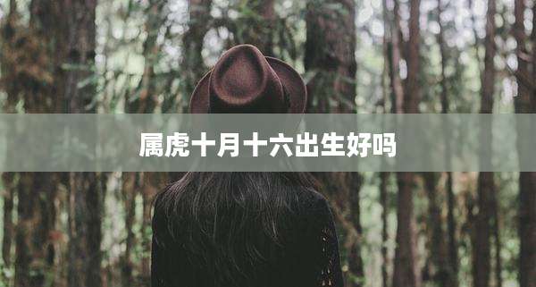 属虎十月十六出生好吗