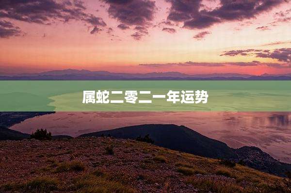 属蛇二零二一年运势