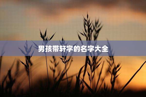 男孩带轩字的名字大全