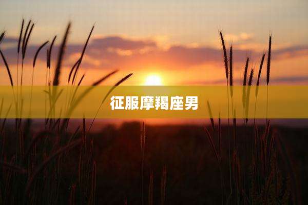 征服摩羯座男