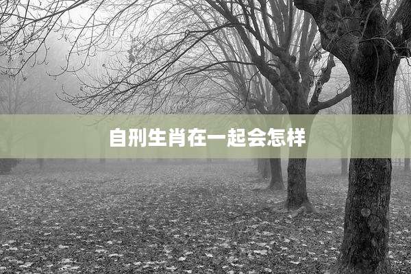 自刑生肖在一起会怎样