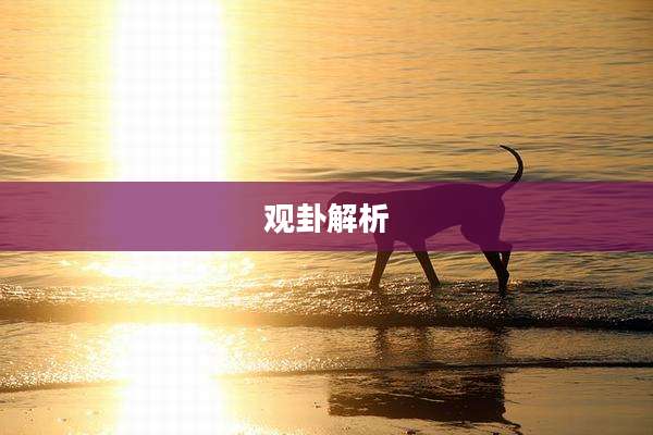 观卦解析