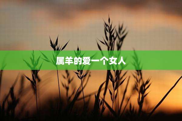 属羊的爱一个女人
