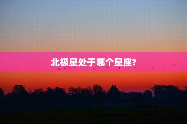北极星处于哪个星座?