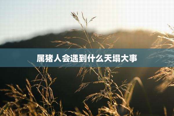 属猪人会遇到什么天塌大事