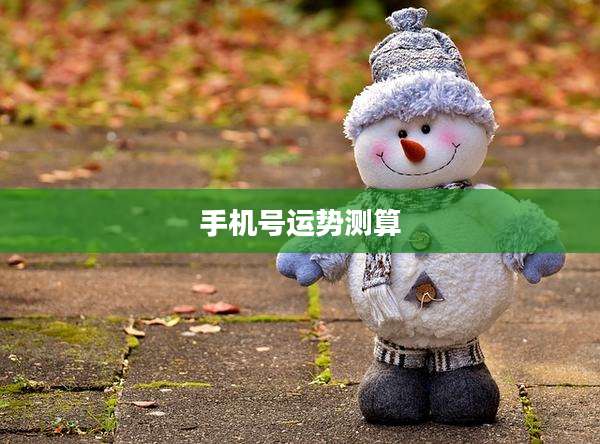 手机号运势测算