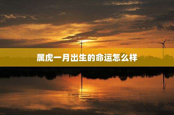 属虎一月出生的命运怎么样