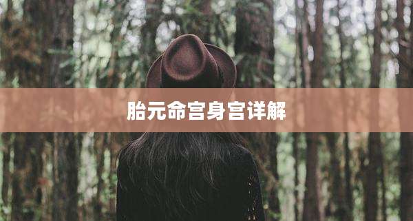 胎元命宫身宫详解